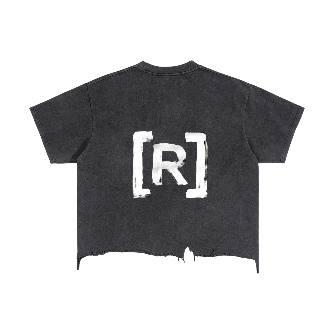 PA TS CROPED TEE